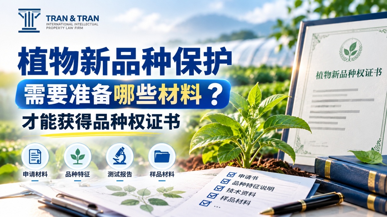 越南植物新品种保护申请证书前需要准备什么